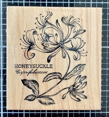 PSX K-2209 Botanical HONEYSUCKLE flowers Spring blooms garden