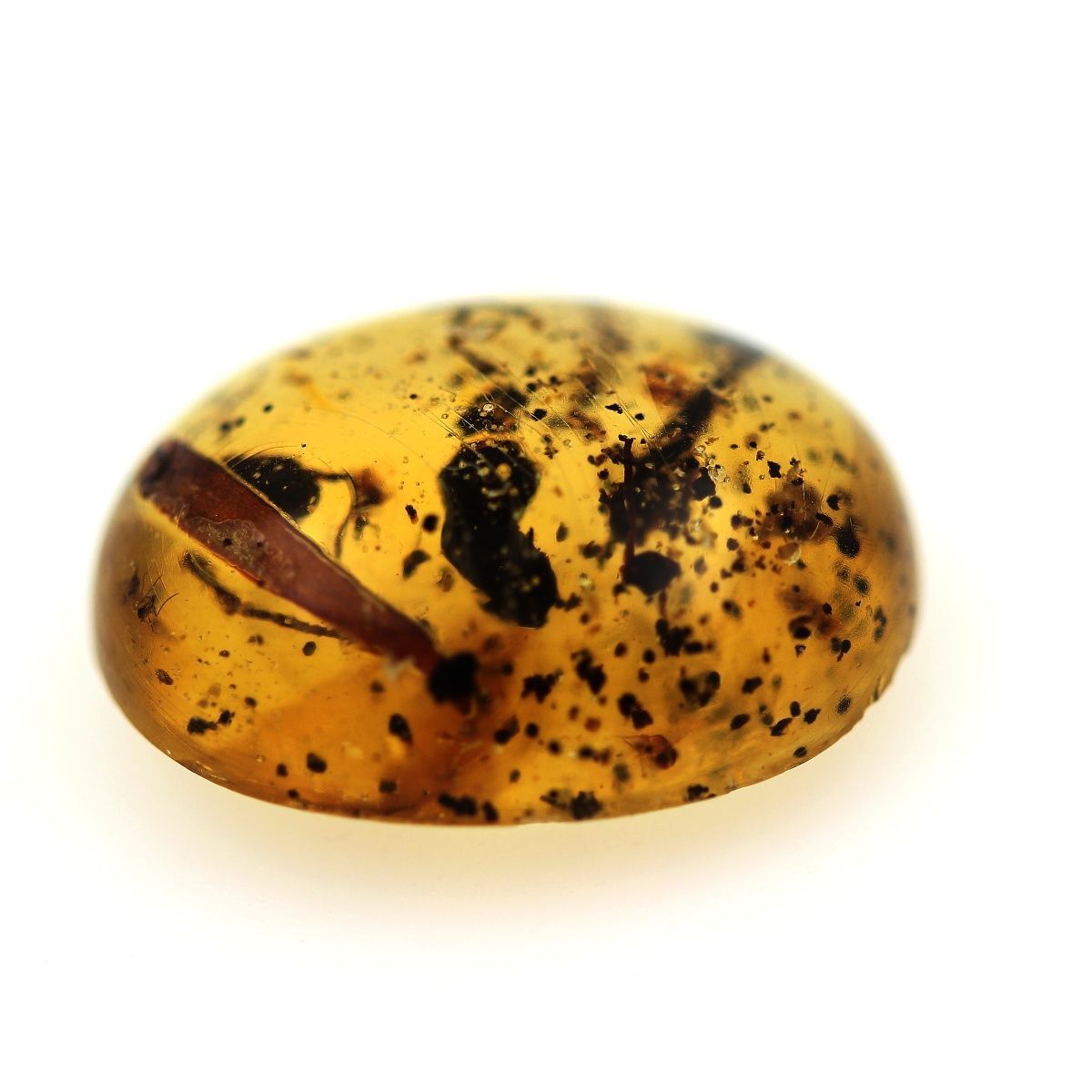 Copal de Madagascar unique avec insecte de 9.73 cts, cadeau pour passionné