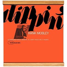 Modular LP Vinyl Record Wall Mount Display System Shelf Magnetic Holder Oak Wood