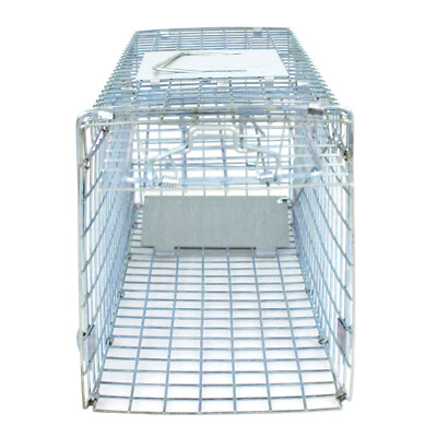 Humane Animal Trap 24'' Steel Cage for Small Live Rat Squirrel Control Durable