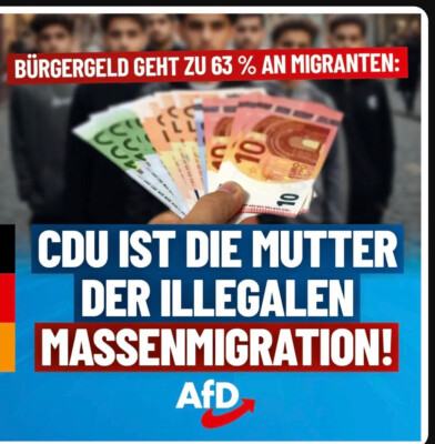 2 AFD Aufkleber Jacke Hose Schuh CD U Grüne Damen Herren Nein Danke