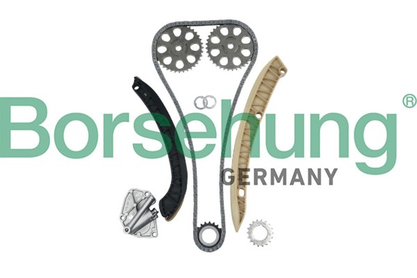 Steuerkettensatz Borsehung B16295 FüR Polo 6J5 6L1 6P5 Fabia Seat Ibiza Skoda VW-image