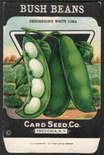 Vintage Seed Packet White Lima Beans Empty Fredonia New York NY 1920s Vegetable