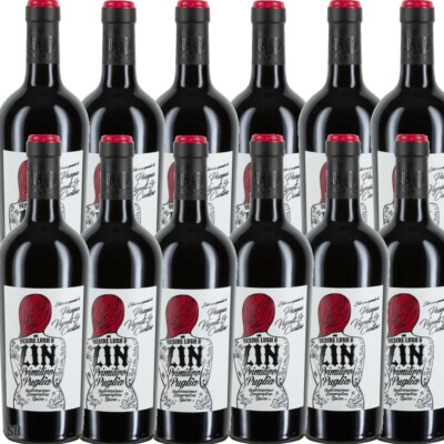 12 Pasqua Pasqua Desire Lush & Zin Primitivo IGT halbtrocken 13,5% vol (12x75cl)