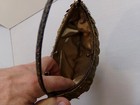 Foto 5 di 10