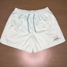 Nike Swim Club Swim Shorts Mens XL Mint Green Mesh Lined Trunks