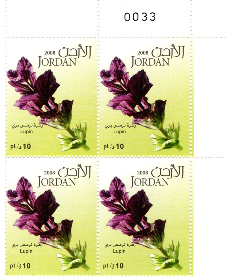 JORDAN 2008 FLOWERS TEN STAMPS BLOCK OF 4 & 4 SHEETS SC 1922-1932 MNH WITH TABS - Image 3 of 4