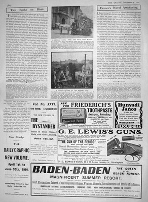 Alter antiker Druck 1910 Mexikanische Blumen Fete Odol Brüssel Bovril Belgien 20.