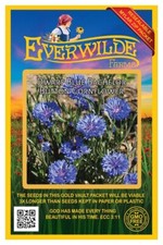 500 Dwarf Blue Bachelor Button Cornflower Wildflower Seeds - Everwilde Farms