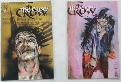 2x The CROW # 2 3 Comic ~ IMAGE ~ 1999 ~ Jon J Muth / Kent Williams ~ NM/UNREAD