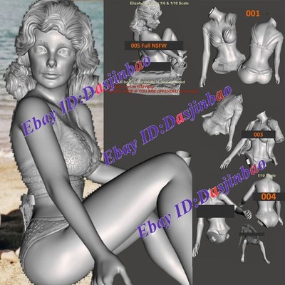 Elizabeth 1/6 1/4 1/3 1/2 3D Print Model Kit Unpainted Unassembled 5 Ver NSFW