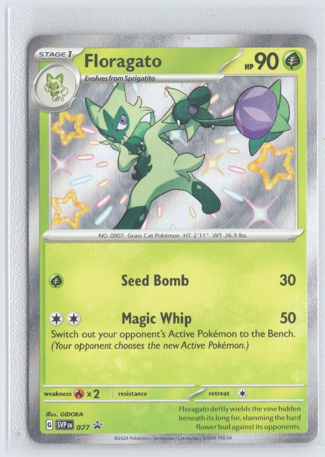 Floragato 077 Holo Promo Scarlet & Violet Promo Pokemon Near Mint