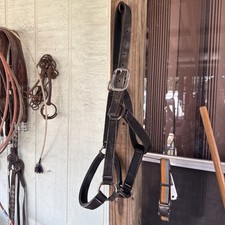Halter de nailon usado negro pequeño halter árabe halter usado tachuela de caballo usado usado usado en excelente estado