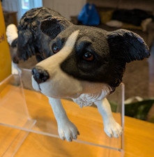 LEONARDO COLLECTION BLACK & WHITE BORDER COLLIE DOG FIGURINE