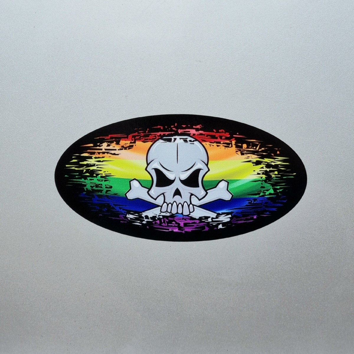 Rainbow Skulls Vinyl - 1221 Rainbow Skulls Vinyl - 1221