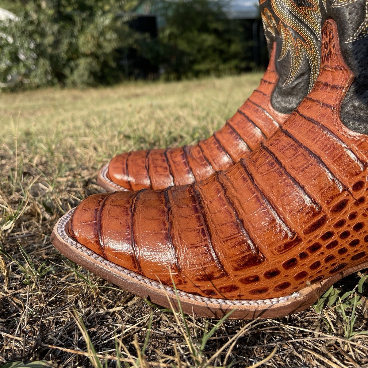 Caiman Belly Skin Cowboy Boots. Men display picture 2