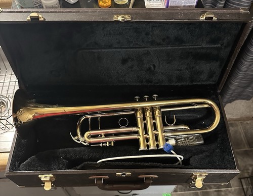 Infinity? Trumpet With Hard Case Beautiful Instrument | eBay
