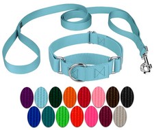 Country Brook Petz  Martingale Heavyduty Nylon Dog Collar/Double Handle Leash