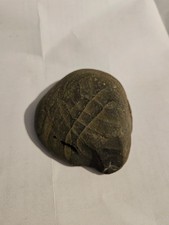 spuren fossil