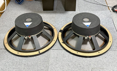 PIONEER TAD TL-1601B Speaker Cone Woofer Pair Working Confirmed