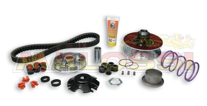 Variateur grand diamètre Malossi Over Range carter long 6115781 en alliage d'aluminium usiné