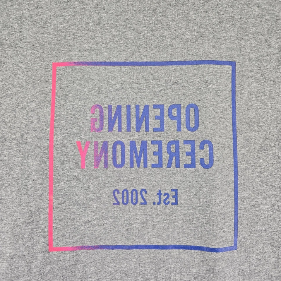 Camiseta Marca Ceremonia de Apertura Para Hombre Grande Gris Brezo Caja Logo Gráfico Algodón Foto 4 de 4