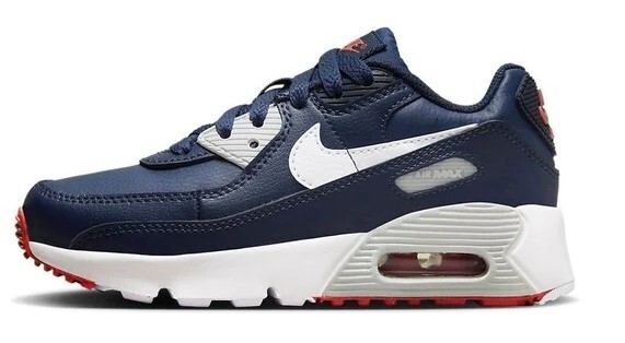 Кроссовки для маленьких детей Nike Air Max 90 LTR Obsidian/Белый-Темно-синий (DV3608 400)