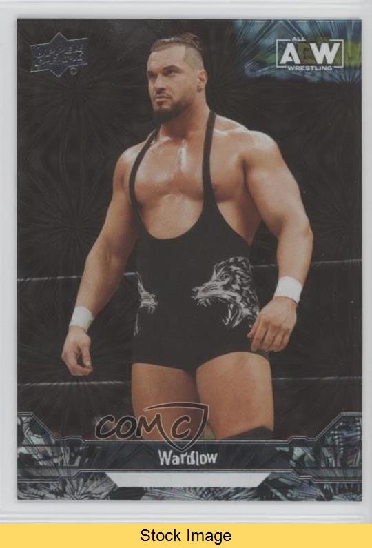 2023 Upper Deck AEW All Elite Wrestling Pyro Wardlow #65 READ z6b