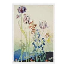 Elizabeth Mary Watt - The Tulip Fairies: Poster (11.7" x 16.5")