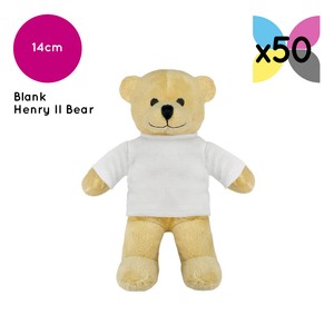 teddy bear with blank t shirt