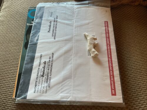 GEORGE MAGAZINE FAREWELL ISSUE, JFK JR. ORIGINAL MAILING PLASTIC, SEALED NEW - Picture 2 of 2