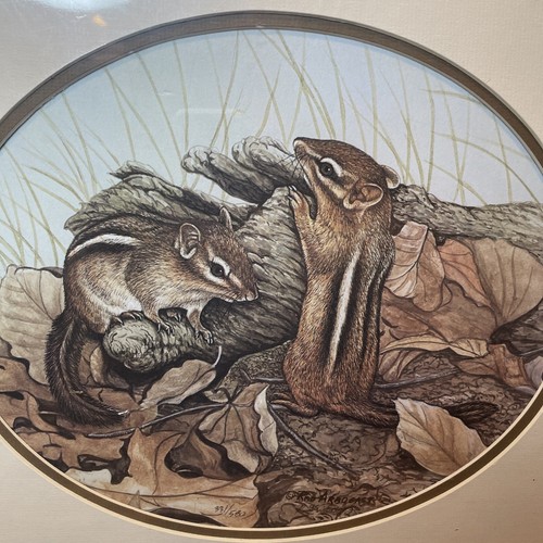 ROD ARBOGAST ARTIST PROOF Chipmunk numbered WILDLIFE SIGNED PRINT - Picture 3 of 15