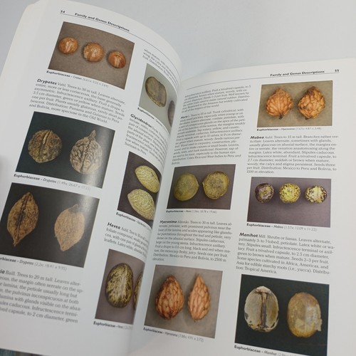 Amazonian Ethnobotanical Dictionary James Alan Duke & Seeds of Amazonian Plants - Picture 15 of 15