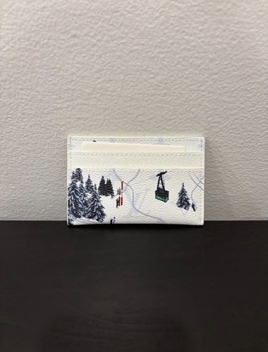 Louis Vuitton Ski Leather Card Holder