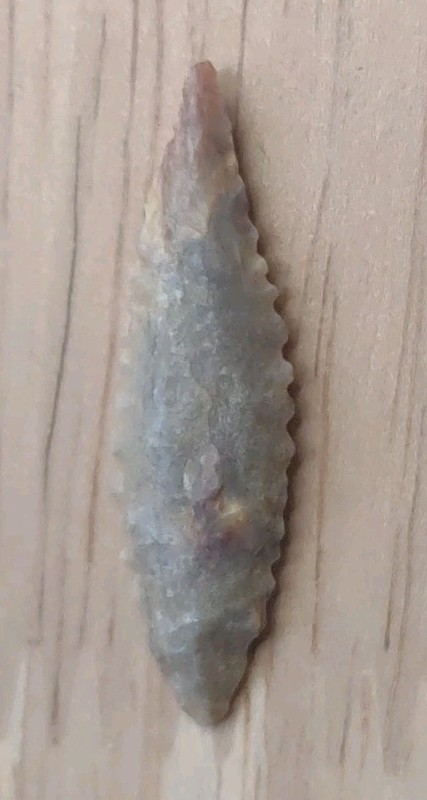 Neolithic Period Arrowhead Sahara  Africa 1 3/8 Inch Pointed Base Willow Leaf