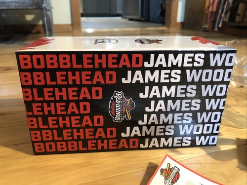 James Wood Rochester Red Wings BobbleHead Washington Nationals Baseball MLB LEGGI - Foto 5 di 13