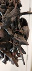 Bild 8 von 10