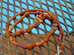 Ancient Coral Beads Greco Bactrian Greek 300 BC  100% Natural Strand