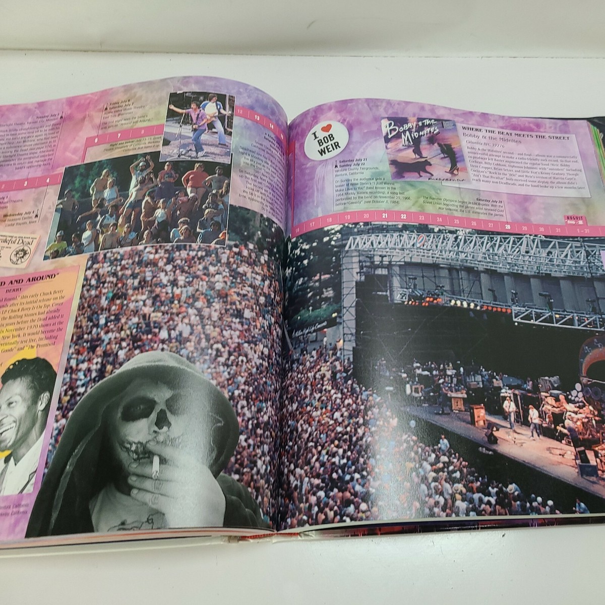 Grateful Dead: The Illustrated Trip　洋書 Grateful Dead : The Illustrated Trip by Robert Hunter