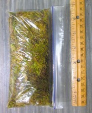 1 oz Dried Forest Moss Organic, Snack Bag Garden Moss Terrarium Vivarium Garden
