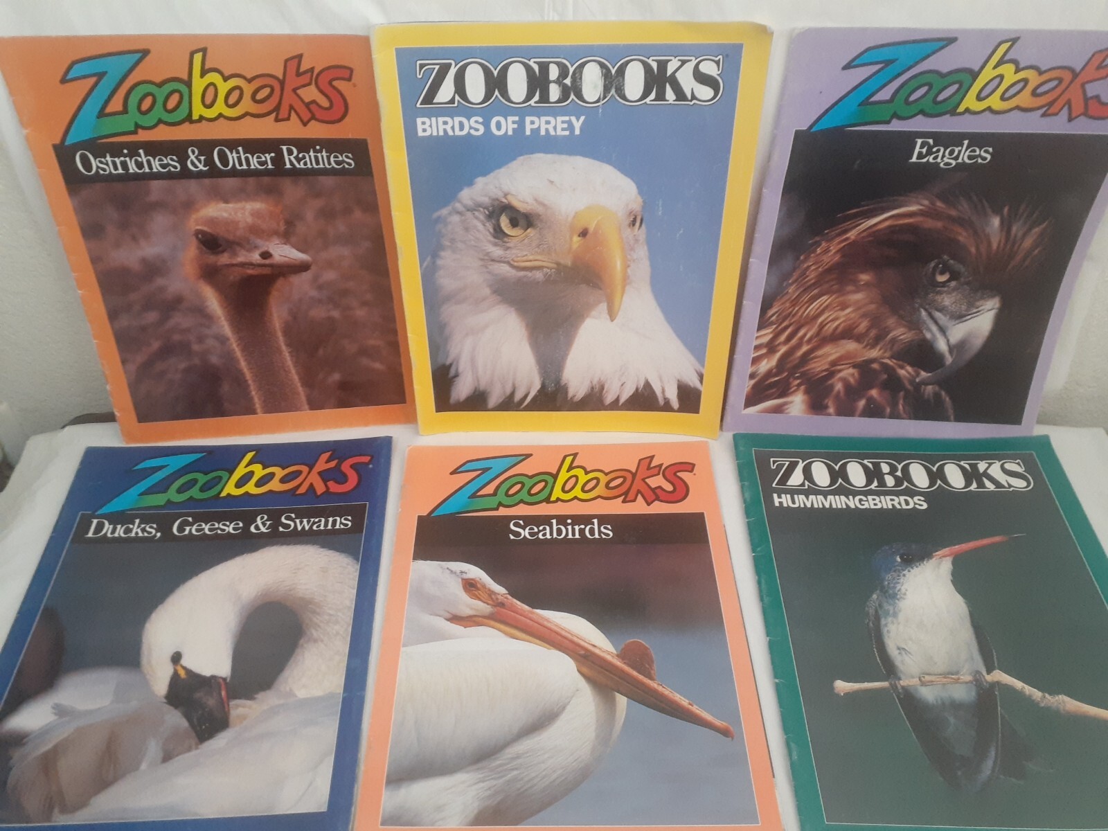 Lot Of 6 Vintage Zoobooks No duplicates Birds of Prey Sea Humming