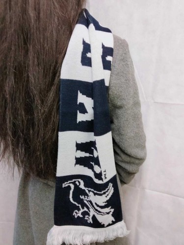 Harry Potter Hogwarts House Scarf Winter Warm Women's Knit Wool Scarfs Brand New - Picture 6 of 26