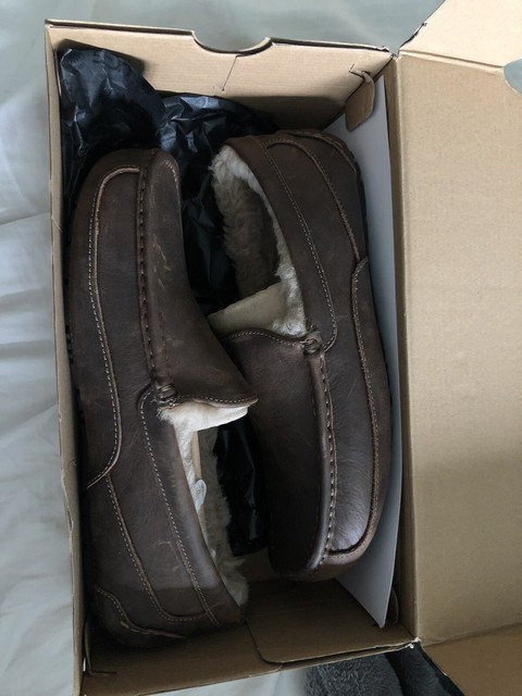 ugg ascot tan