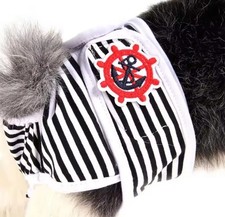 Vêtements Chien