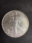 2011 1 Oz Silver American Eagle (Brilliant Uncirculated) Gonna Be A Toner!