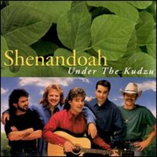Under the Kudzu by Shenandoah: Used