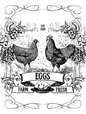 Holzschild 40x30 cm EGGS farm fresh est. 1886 Deko Geschenk Holz Schild