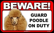 Beware Guard Dog On Duty Sign - Poodle 8  X 5  