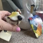 Photo 8/10