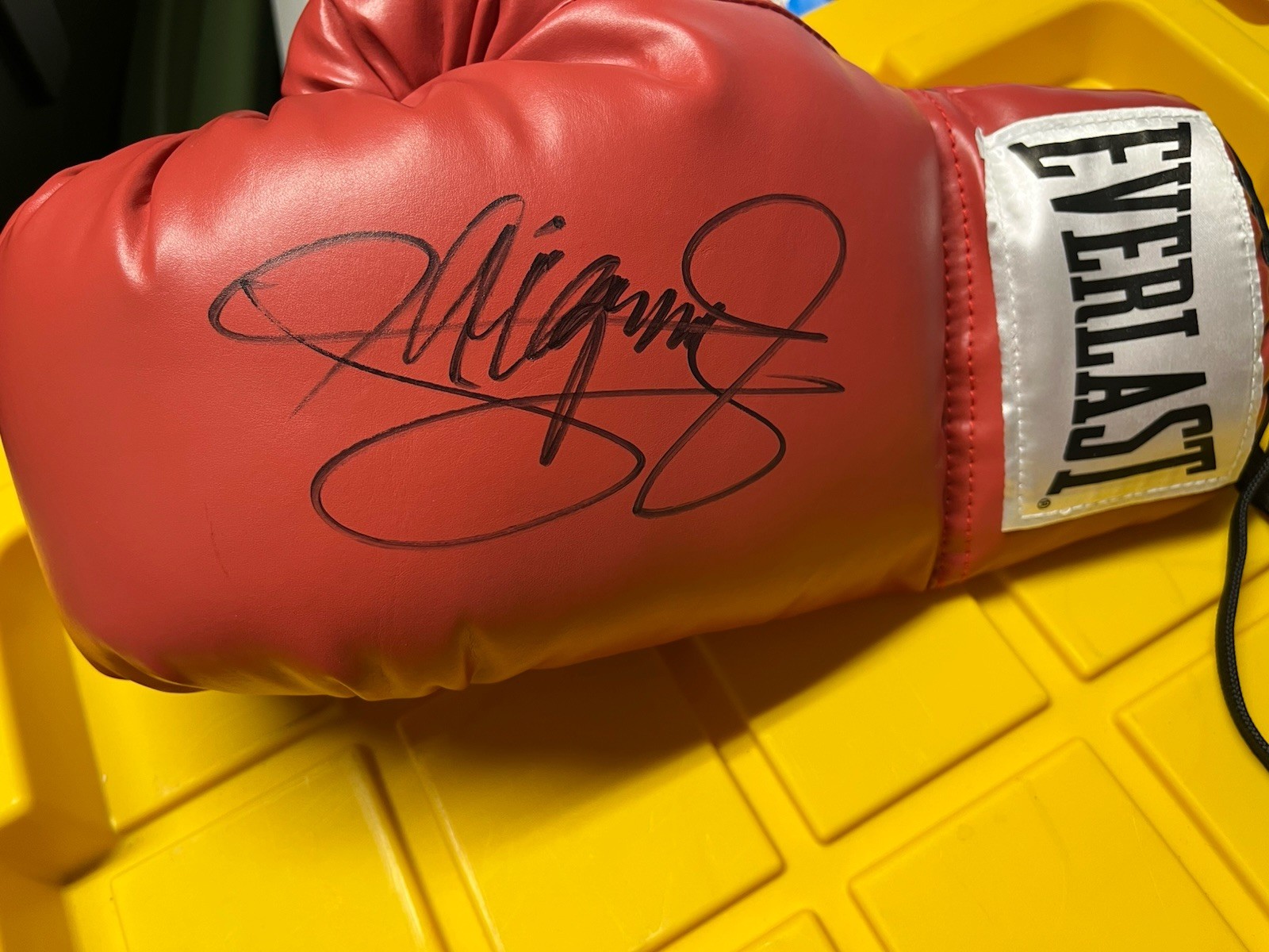 Manny Pacqui o Autographed Signed Manny Pacquiao auto Everlast boxing glove Hof 2025 JSA Legend 
